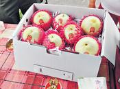 怎樣帶香瓜回香港？為免水果在途中互相壓爛，可用原有的紙盒或膠盒裝攜帶。（周翠玲攝）