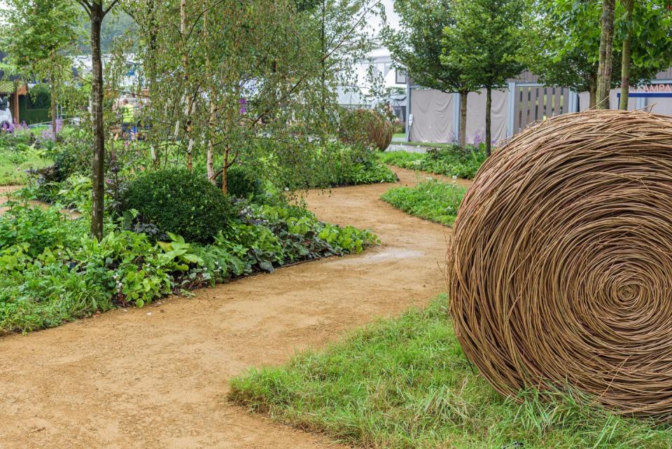 chelsea flower show 2021 rhs queen’s green canopy garden designed by david dodd