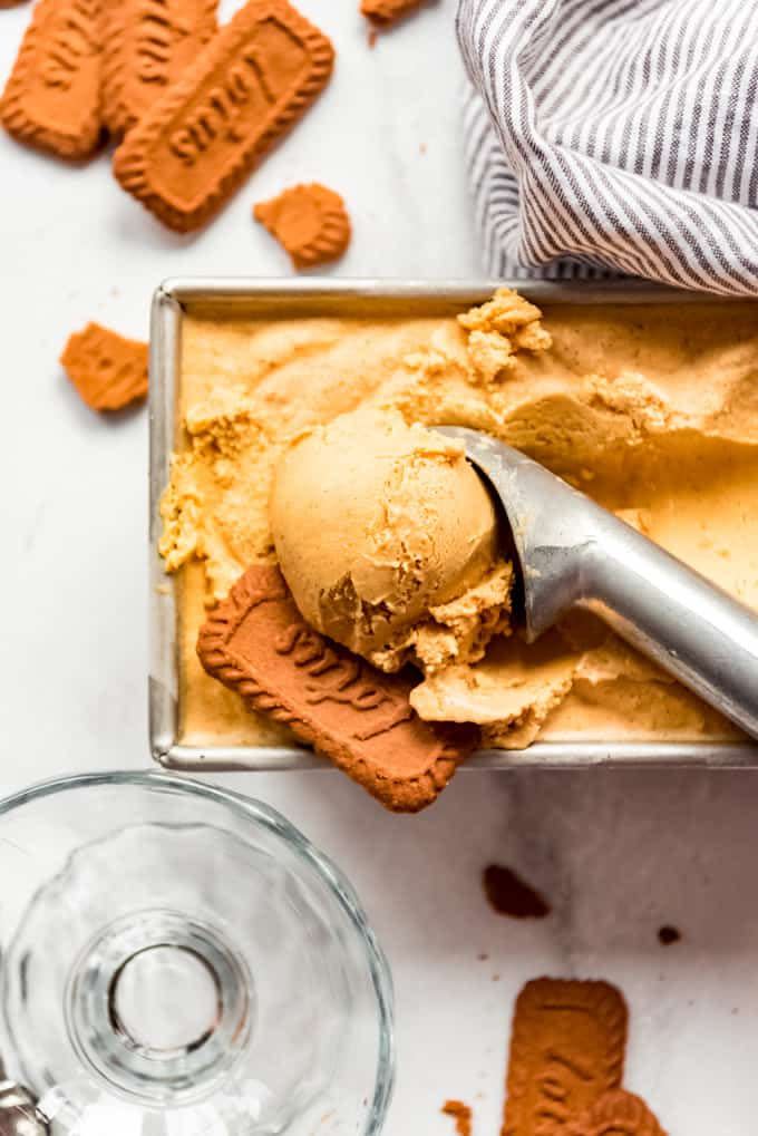 <p>There’s no wrong way to eat pumpkin ice cream—sandwich it between gingerbread cookies, serve it with a slice of apple pie, or simply enjoy a scoop with your favorite toppings (candied pecans, anyone?!). </p><p><strong>Get the recipe at <a href="https://houseofnasheats.com/pumpkin-ice-cream/" rel="nofollow noopener" target="_blank" data-ylk="slk:House of Nash Eats;elm:context_link;itc:0;sec:content-canvas" class="link ">House of Nash Eats</a>.</strong></p>