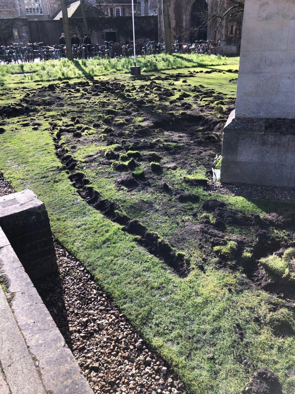 The digging ruined the lawn (PA)