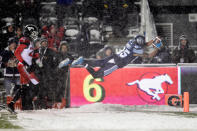 <p>The Stamps may have been the best team in the regular season,<br> but the Argonauts won when it mattered most. (Nathan Denette/CP) </p>