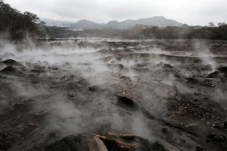 A general view shows an area affected by the eruption of the Fuego volcano in San Miguel Los Lotes, in Escuintla, Guatemala June 13, 2018. REUTERS/Luis Echeverria