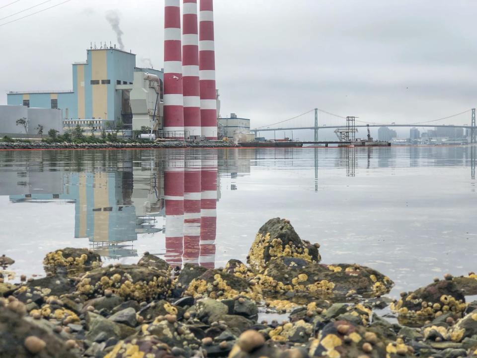 Nova Scotia is still heavily reliant on fossil fuels, including coal, which is used to power this generating station in Dartmouth. Part of the reason for Nova Scotia Power's fuel debt is the volatility of fossil fuel prices. (Robert Short/CBC)