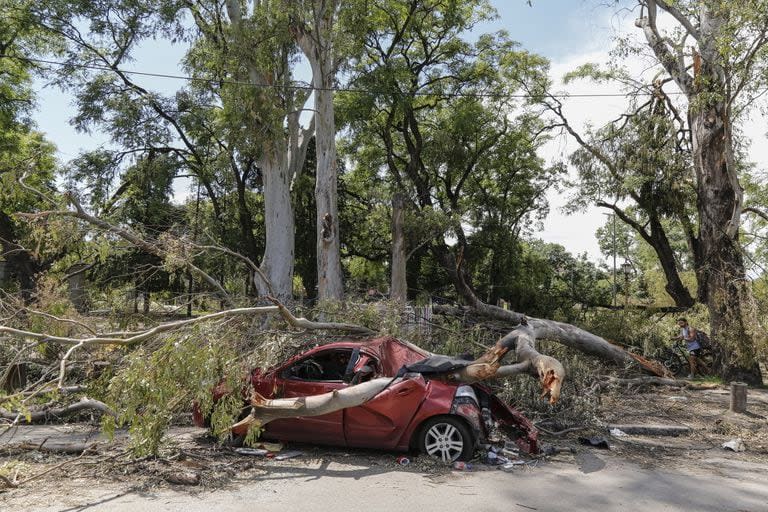 Uno de los vehículos que quedó aplastado por un árbol durante la tormenta del domingo aún permanece sepultado bajo las ramas en Palermo 