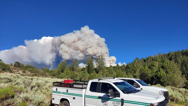 Lightning has been identified as the cause of a 250-acre fire located 11 miles southeast of Beaver.