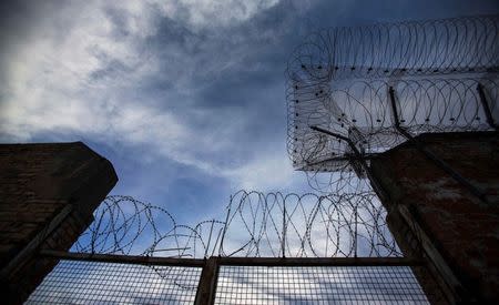 Barbed wire is seen in a former prison in Cottbus November 4, 2014. REUTERS/Hannibal