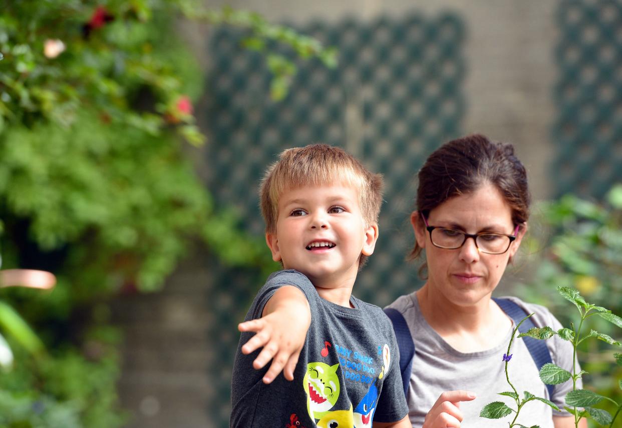 A young boy raises his arm to try to get a butterfly to land on him on Thursday, September 3, at the Butterfly House and Aquarium in Sioux Falls.