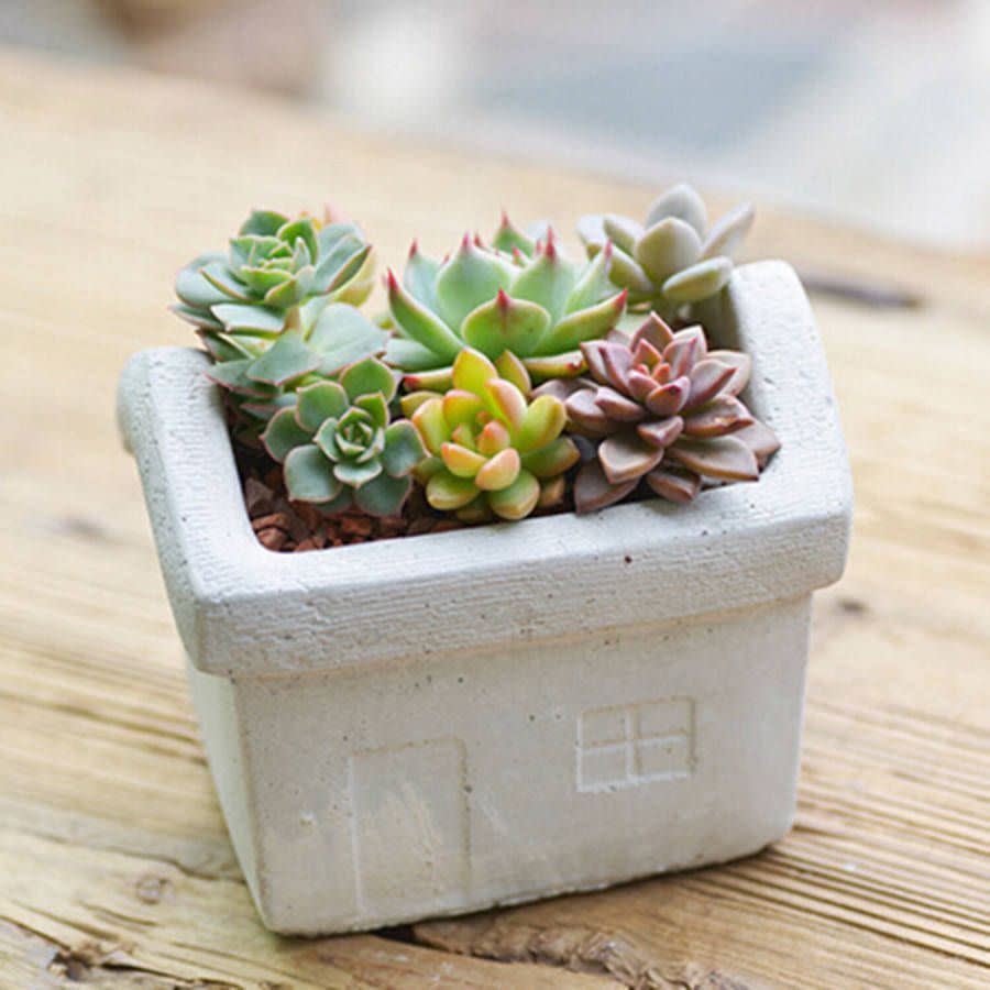 Concrete House Planter