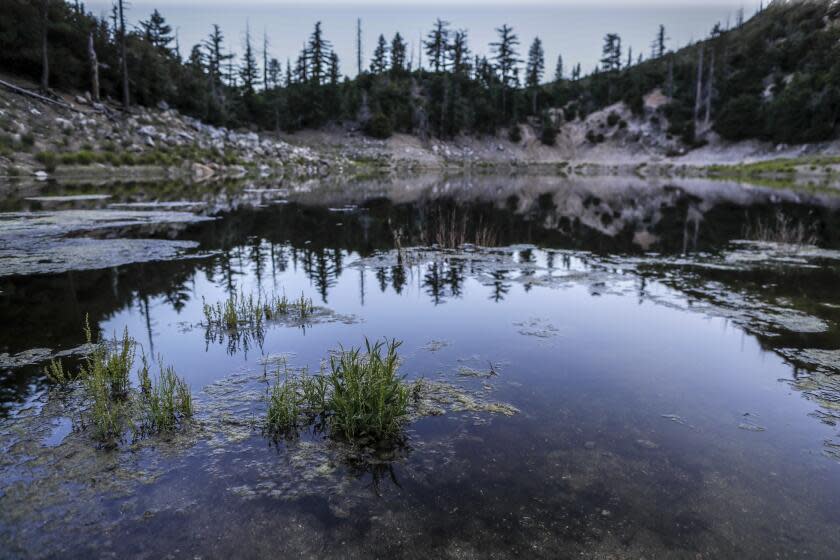 AZUSA, CA, WEDNESDAY, JUNE 19, 2019 - A view of Crystal Lake. (Robert Gauthier/Los Angeles Times)