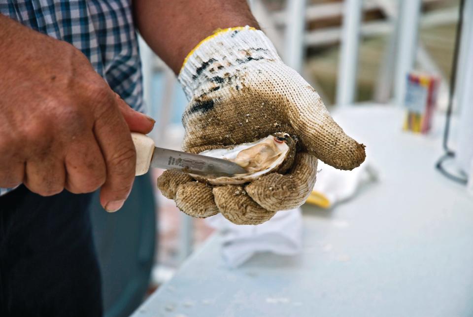 Apalachicola is known for its oysters. Enjoy them at the local restaurants or have some shipped home for later.