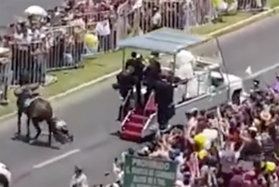 The popemobile had just passed the officer when she fell from her horse (Storyful)