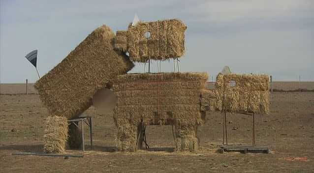 Bruce Cook built the unusual hay bale at his farm in Lake Charm, near Kerang. Photo: 7News