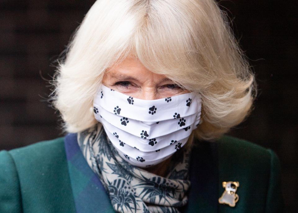 WINDSOR, ENGLAND - DECEMBER 09: Camilla, Duchess of Cornwall visits Battersea Dogs Home in Windsor on December 09, 2020 in Windsor, United Kingdom. (Photo by Samir Hussein/WireImage)