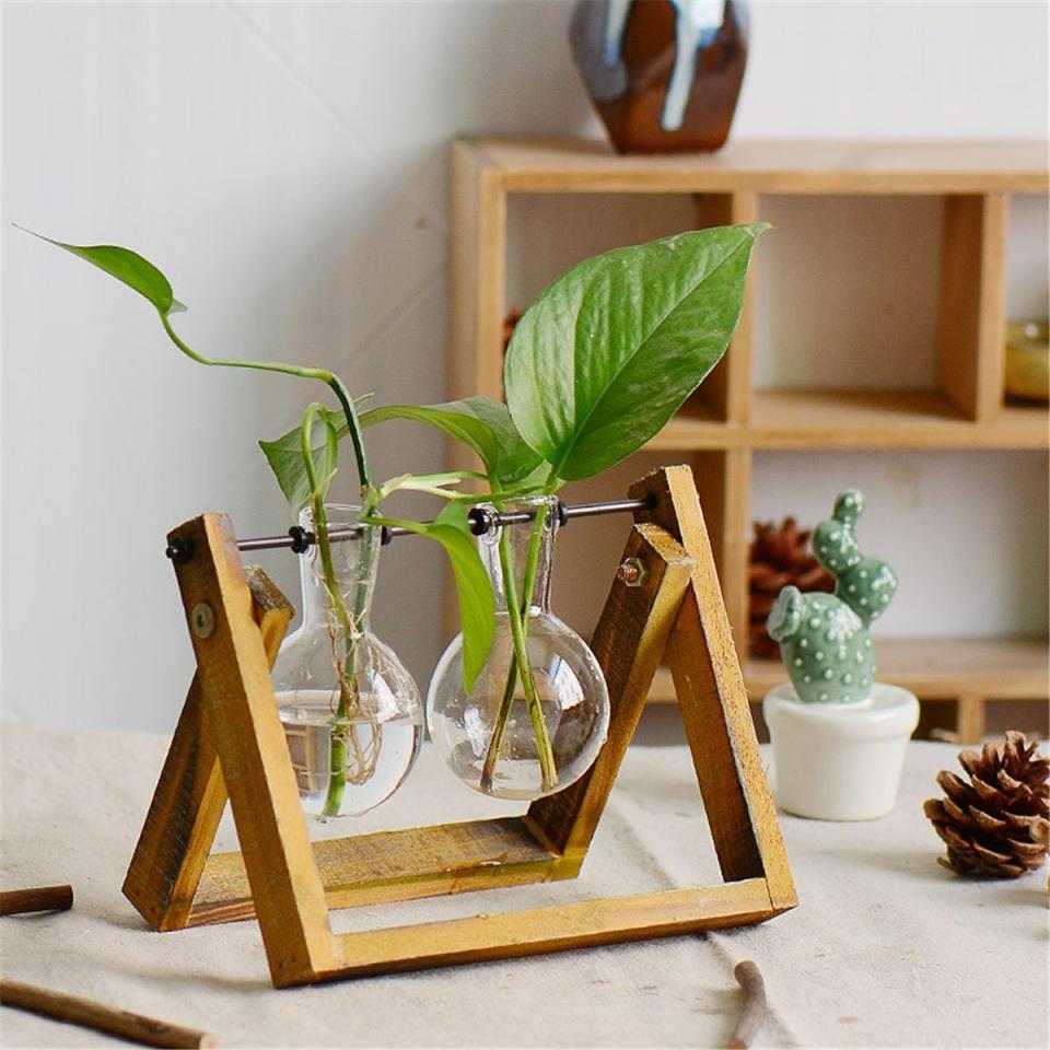 Plant Terrarium with Wooden Stand