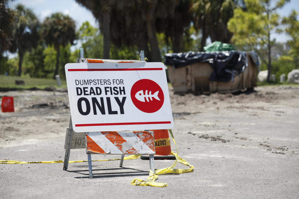 A sign is posted for depositing dead marine life from the Red Tide bacteria into dumpsters, is seen at Maximo Park on July 21, 2021 in St Petersburg, Florida. / Credit: OCTAVIO JONES / Getty Images