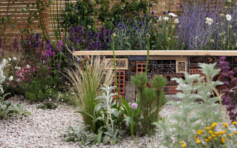 hampton court palace garden show medal winners - Rii Schroer