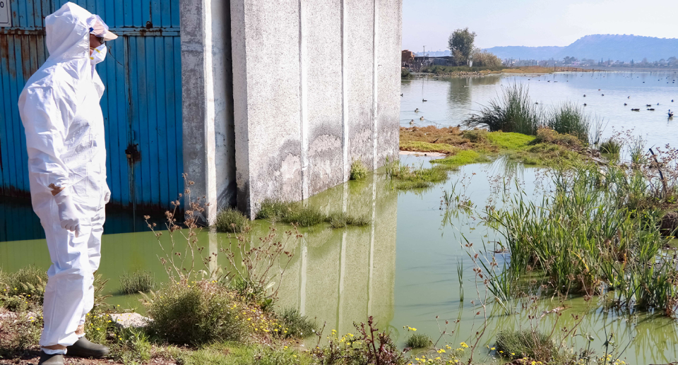 A man in PPE looking out across water with birds in the background. The water in the foreground is green.