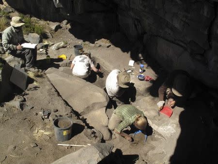 Excavations at Cunchaicha rock shelter in Peruvian Andes is shown in this handout image released on October 22, 2014. REUTERS/Kurt Rademaker/Handout via Reuters