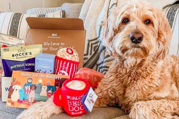 10) Pooch Perks Dog Boxes