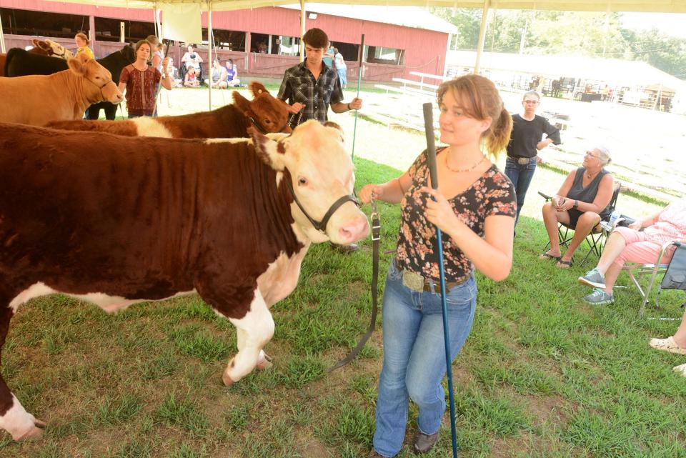 Brooklyn Fair. File photo