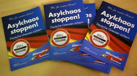 Brochures of the right-wing Alternative for Germany (AFD) are pictured during a rally for the upcoming Saxony-Anhalt state elections in Bitterfeld, Germany, February 29, 2016. Picture taken February 29, 2016. REUTERS/Fabrizio Bensch