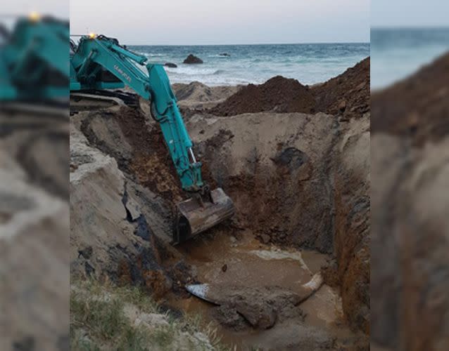 Authorities said there was no choice but to bury the whale on the beach. Source: National Parks and Wildlife Service, Port Macquarie