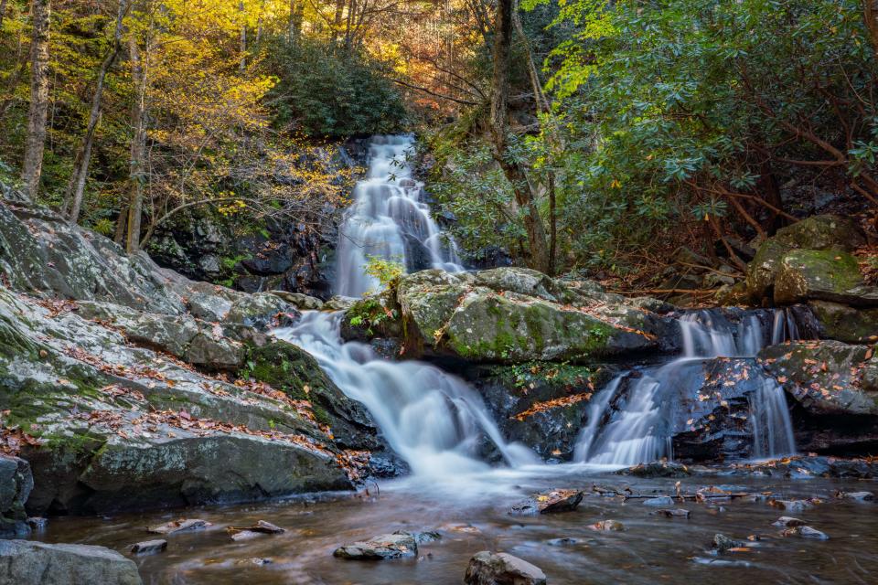 In addition to attending creative workshops, writing conference attendees will join experienced Tremont naturalists for guided explorations of the surrounding national park. The scenic Spruce Flats Falls is a short walk from the Tremont campus.