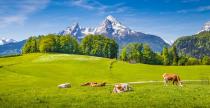 Wer nicht ganz so weit reisen möchte und weniger Budget zur Verfügung hat, muss Europa nicht verlassen. Ein verlängertes Flitterwochenende im Wellnesshotel in den bayerischen Alpen oder in Tirol bietet genügend Romantik und Erholung ohne die Unannehmlichkeiten einer Fernreise. Am besten buchen Sie ein Zimmer mit Bergblick, dann brauchen Sie das Bett gar nicht zu verlassen ...