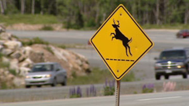 The challenge of keeping animals off busy Eastern Township highway