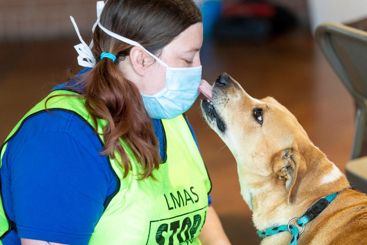 Adoption coordinator, Courtney Dobson, gets a kiss from Ski at the Louisville Metro Animal Services' Animal House Adoption Center. Dec. 11, 2020