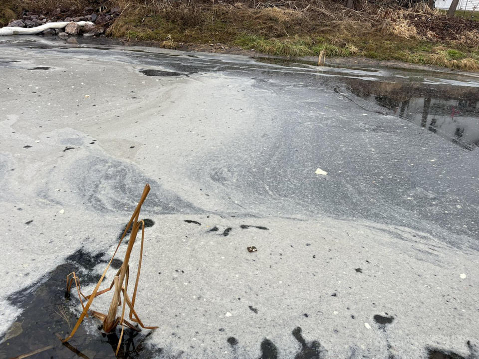 The buttery mess in the canal. (Phoebe Murray / NBC15)