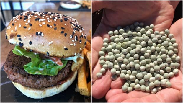 Agrifood analyst says more people are turning to plant-based proteins as a supplement to meat in their diets.  (Elizabeth Chorney-Booth/CBC, Nancy Russell/CBC - image credit)