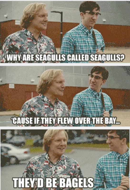 why are seagulls called seagulls? 'cause if they flew over the bay, they'd be bagels