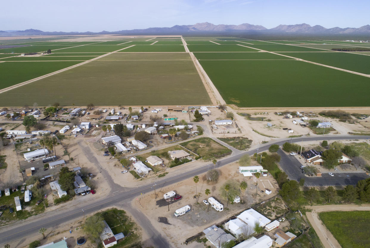 Green alfalfa fields sprawl for miles alongside the small town of Wenden, Ariz., on March 28, 2024. (Rebecca Noble/The New York Times)