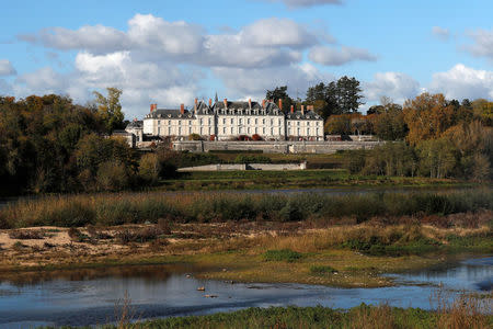 A general view shows the Chateau de Menars on the banks of the River Loire in Menars, France, November 6, 2017. REUTERS/Gonzalo Fuentes