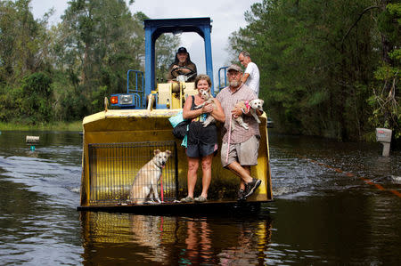 Jimmy Shackleford (74) of Burgaw transports his son Jim Shackleford and his wife Lisa, and their pets Izzy, Bella and Nala (in the cage) in the bucket of his tractor as the Northeast Cape Fear River breaks its banks during flooding after Hurricane Florence in Burgaw, North Carolina, U.S., September 17, 2018. REUTERS/Jonathan Drake