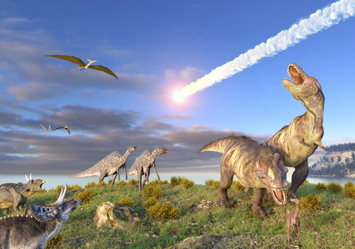 Illustration of the K T Event at the end of the Cretaceous Period. A ten-kilometre-wide asteroid or comet is entering the Earths atmosphere as dinosaurs, including T. rex, look on.