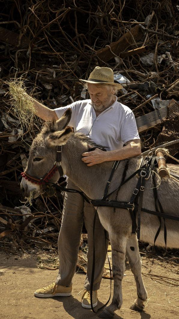 導演傑西史考利莫斯基餵驢子。（圖／甲上提供）
