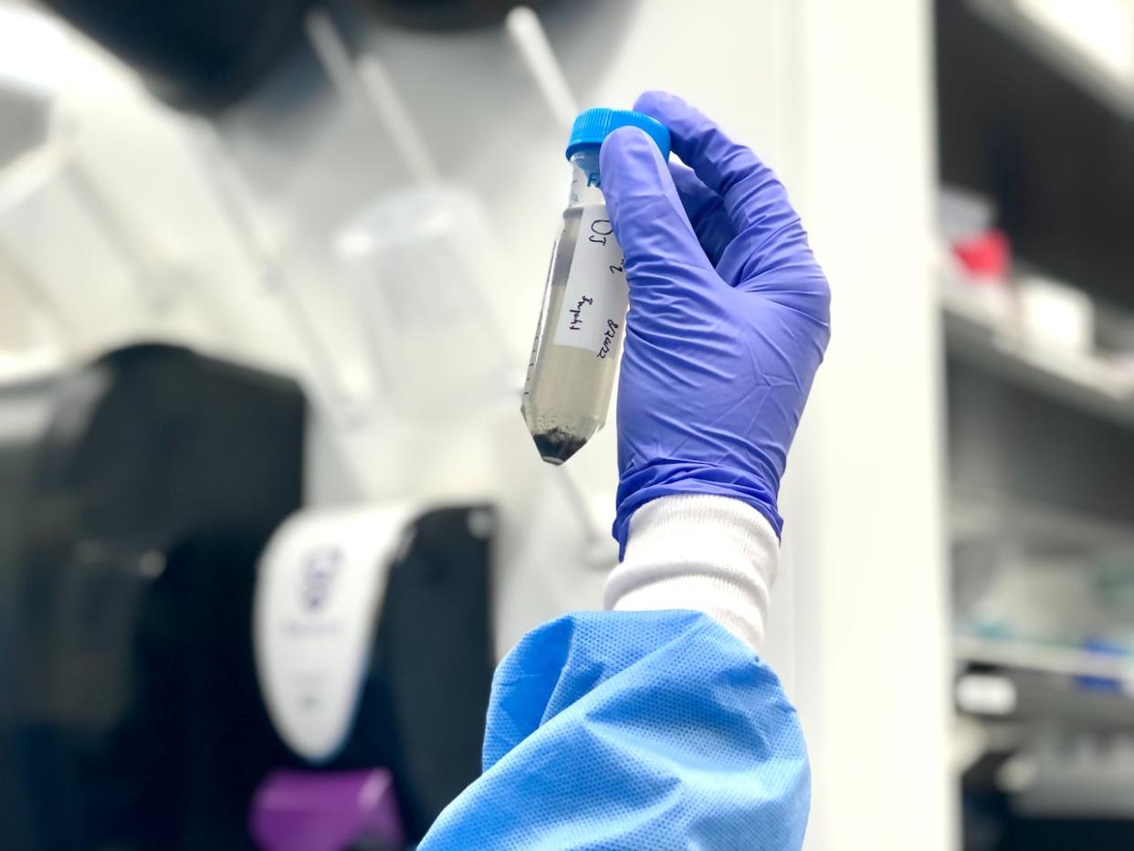 A test tube containing wastewater.  (Lauren Pelley/CBC - image credit)