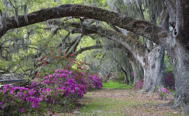 Photos: America's most beautiful home and garden tours