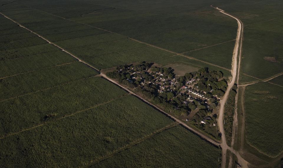 An aerial view of the Batey La Lima community, an impoverished community surrounded by a massive sugarcane plantation in the southern coastal city of La Romana, Dominican Republic, Wednesday, Nov. 17, 2021. (AP Photo/Matias Delacroix)