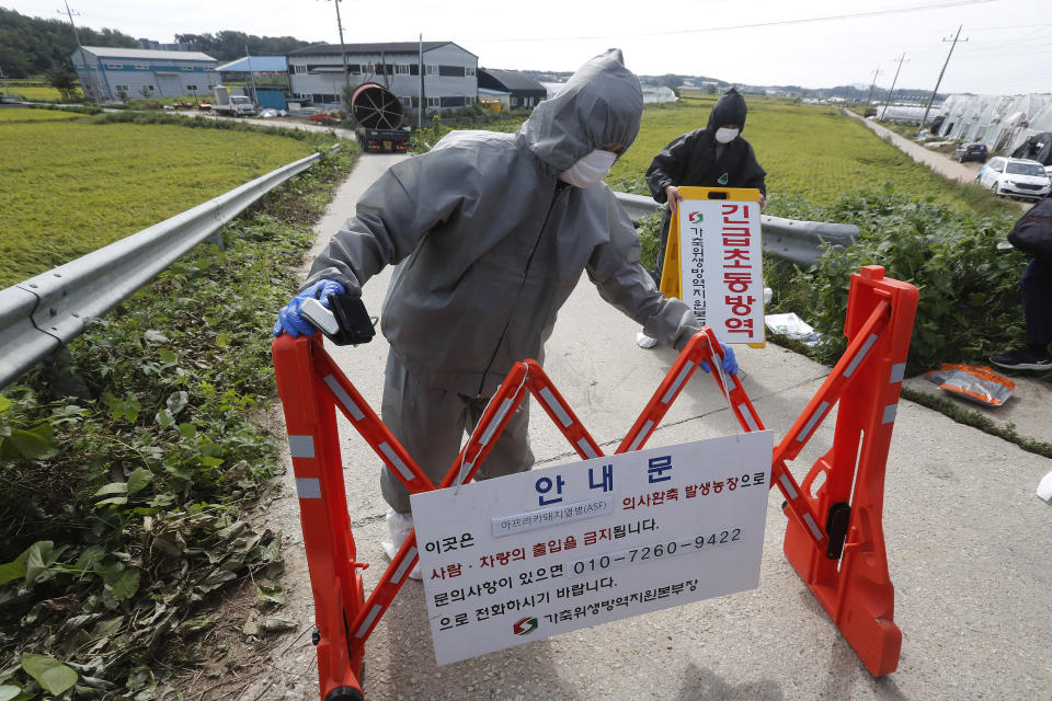 Quarantine officials wearing protective gears place barricades as a precaution against African swine fever at a pig farm in Paju, South Korea, Tuesday, Sept. 17, 2019. South Korea is culling thousands of pigs after confirming African swine fever at a farm near its border with North Korea, which had an outbreak in May. The notice reads: "Under quarantine." (AP Photo/Ahn Young-joon)