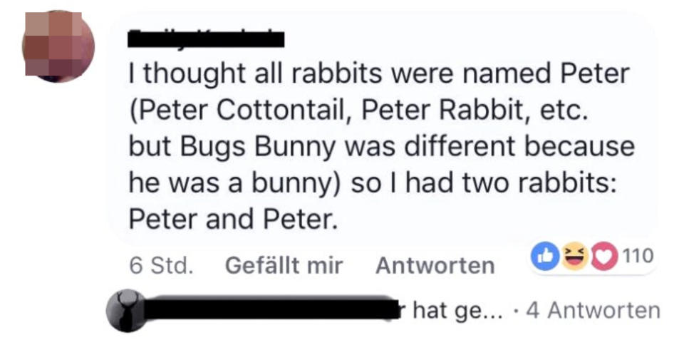 "i thought all rabbits were named Peter (Peter Cottontail, Peter Rabbit, etc, but Bugs Bunny was different because he was a bunny) so I had two rabbits, Peter and Peter"