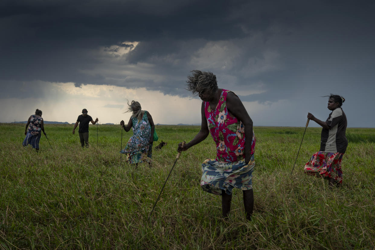 This image provided by World Press Photo which won the World Press Photo Story Of The Year award by Matthew Abbott for National Geographic Magazine/Panos Pictures, titled Saving Forests With Fire, shows A group of Nawarddeken women elders hunt for turtles with homemade tools on floodplains near Gunbalanya, Arnhem Land, Australia, Oct. 31, 2021. They spent all day finding just two turtles, which are a popular delicacy. Soon the grass will be burned to make the hunt easier. (Matthew Abbott for National Geographic/Panos Pictures/World Press Photo via AP)