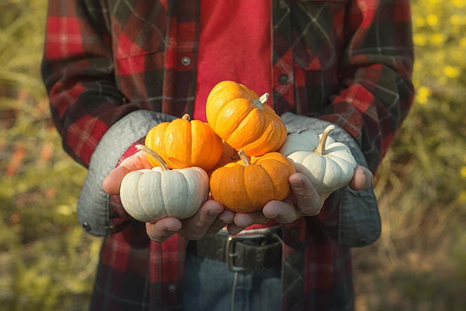 Halloween Games (Natalia Ganelin / Getty Images)