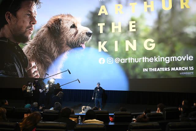 <p>Jon Kopaloff/Getty Images for Lionsgate</p> Mark Wahlberg at <em>Arthur the King</em> screening