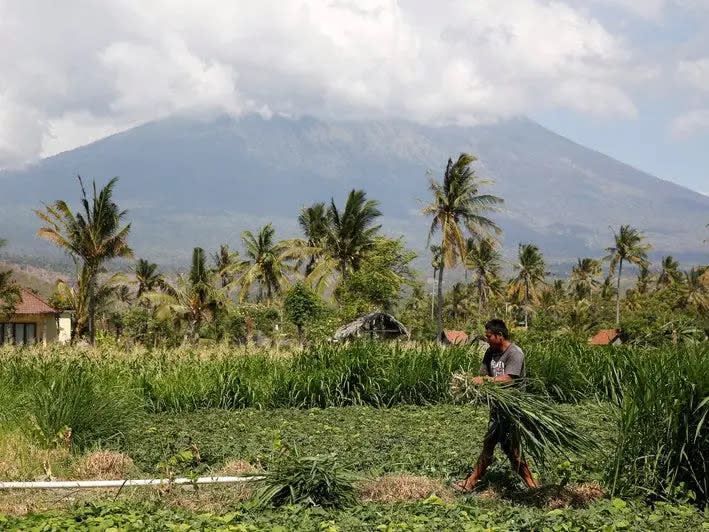 Ein Bauer arbeitet auf seinem Feld in der Nähe des Mount Agung. - Copyright: Thomson Reuters