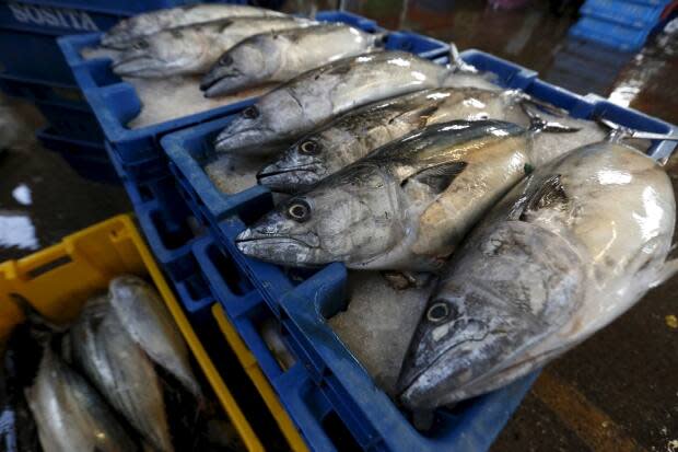 Fish for sale at a market in Lima, Peru. The global catch of wild fish has declined since the 1990s, say researchers, and an estimated one-third of stocks are overfished. 