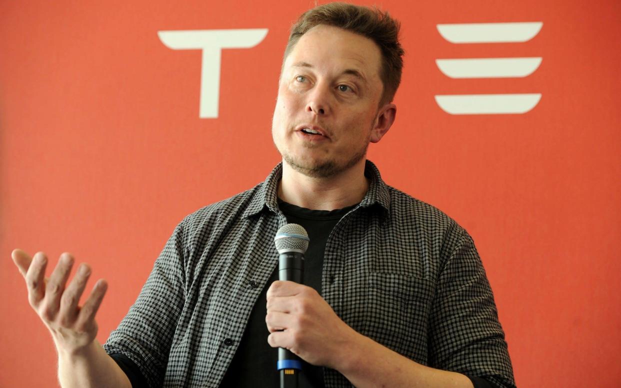 Tesla chief executive Elon Musk - REUTERS