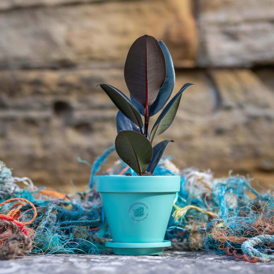 <p>These plant pots are made from discarded rope and fishing nets. Manufactured in the UK, the circular economy product raises awareness of the ocean plastic problem.<br></p><p><a href="https://oceanplasticpots.com/" rel="nofollow noopener" target="_blank" data-ylk="slk:www.oceanplasticpots.com;elm:context_link;itc:0;sec:content-canvas" class="link "><strong>www.oceanplasticpots.com</strong></a></p>